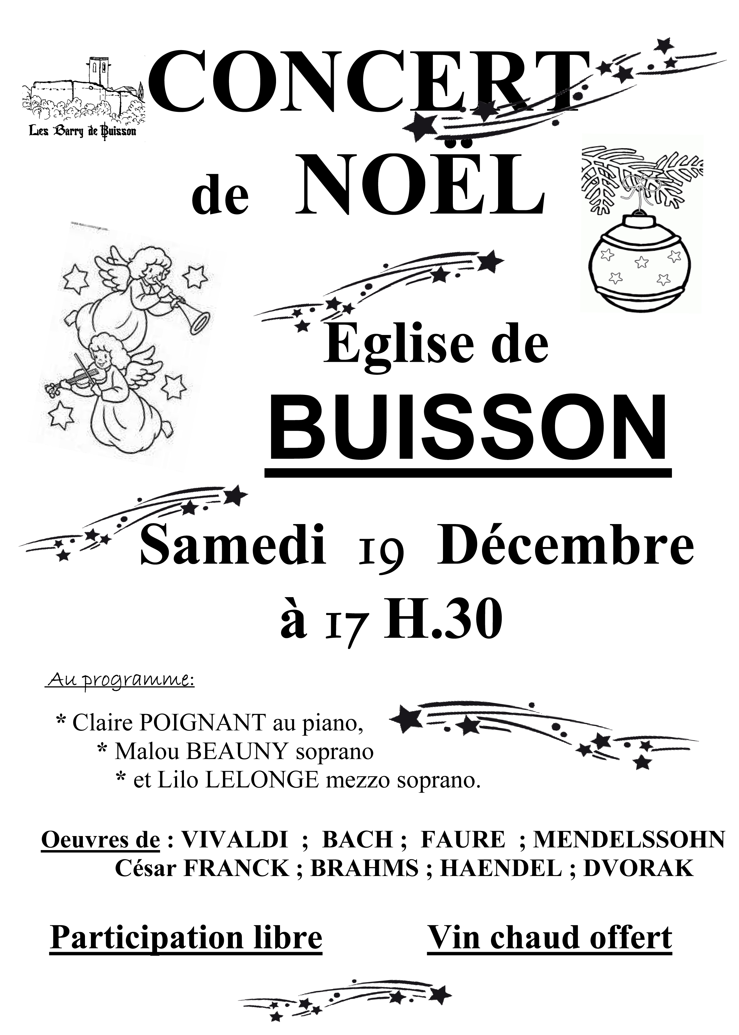 concert Noel2015-Buisson