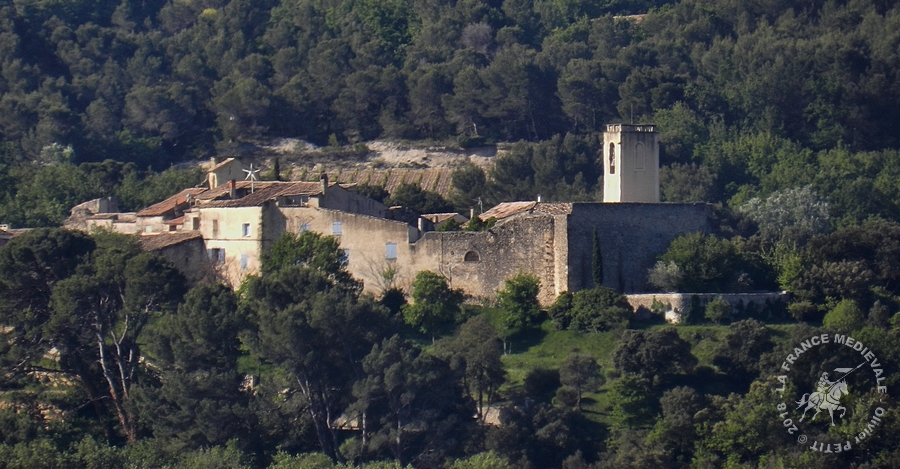 Buisson remparts-002