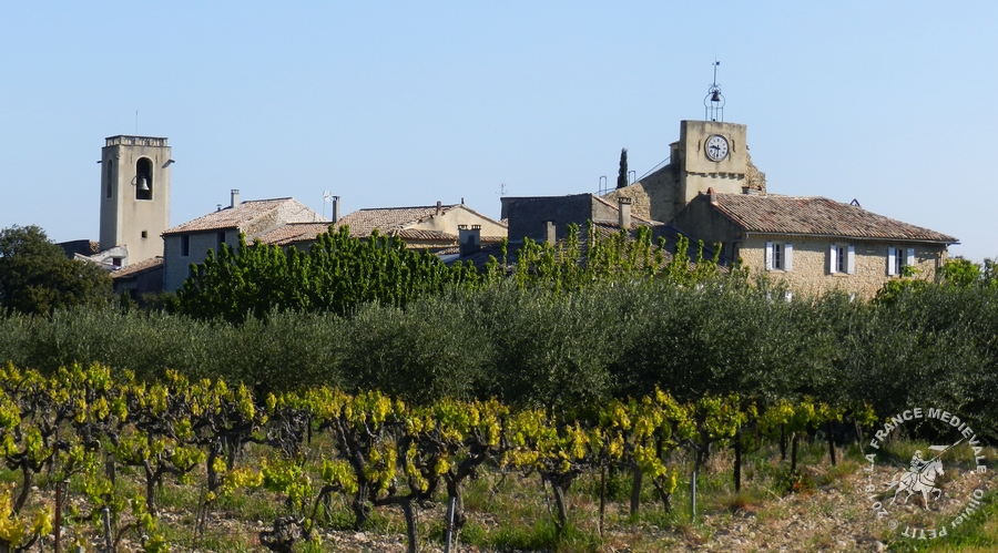 Buisson remparts-004
